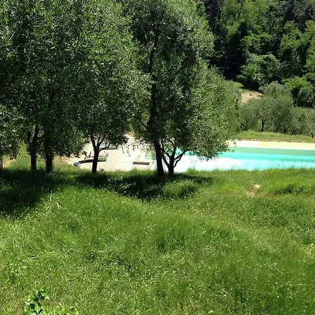 Modern In Tuscany With Swimming Pool *