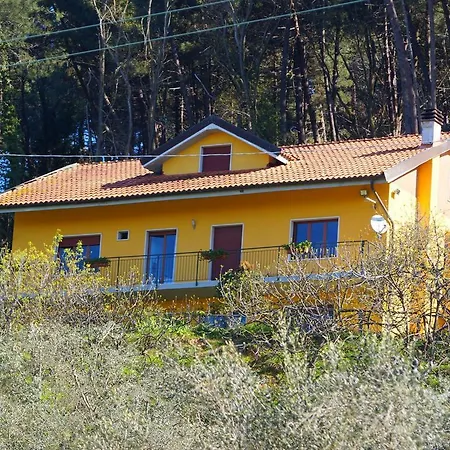 Modern In Tuscany With Swimming Pool Semesterbostad